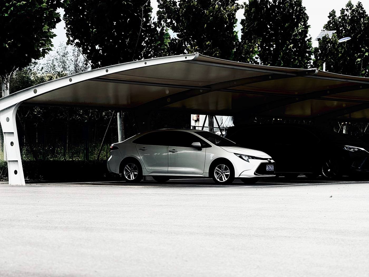 Freistehende Carport-Anlage mit geschwungenem Metalldach über Stellplätzen